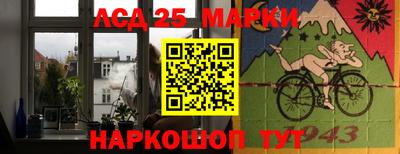гашик Камышлов